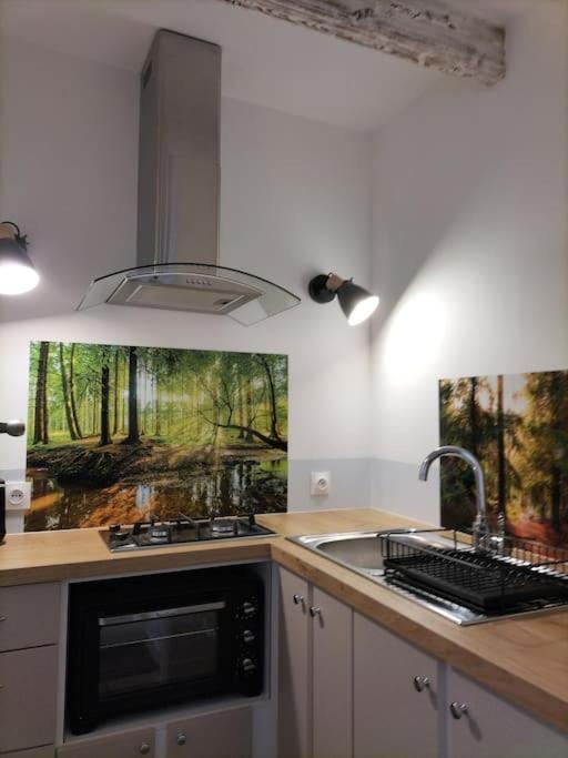 Logement Entier 3 Pieces Et Terrasse Mazieres-en-Gatine Luaran gambar